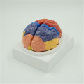 Modèle de cerveau de crâne de tête humaine de conception de logo personnalisé